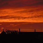 Breisgauer Abendröte über Freiburg