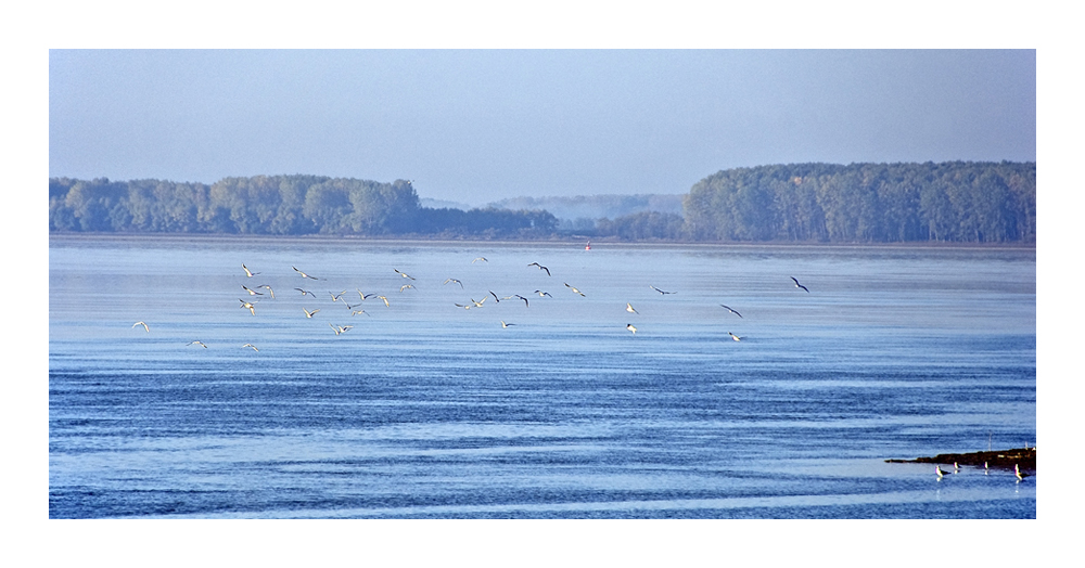 Breit wie ein See...