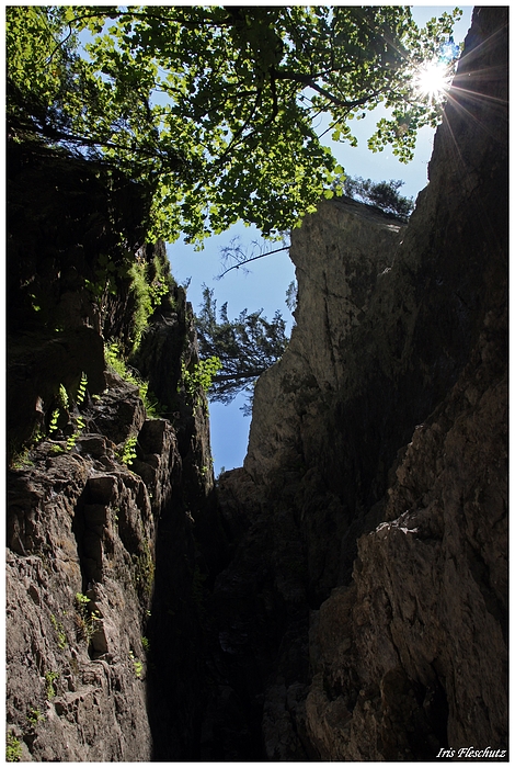 Breitachklamm (12)