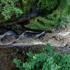 Breitachklamm 1/3