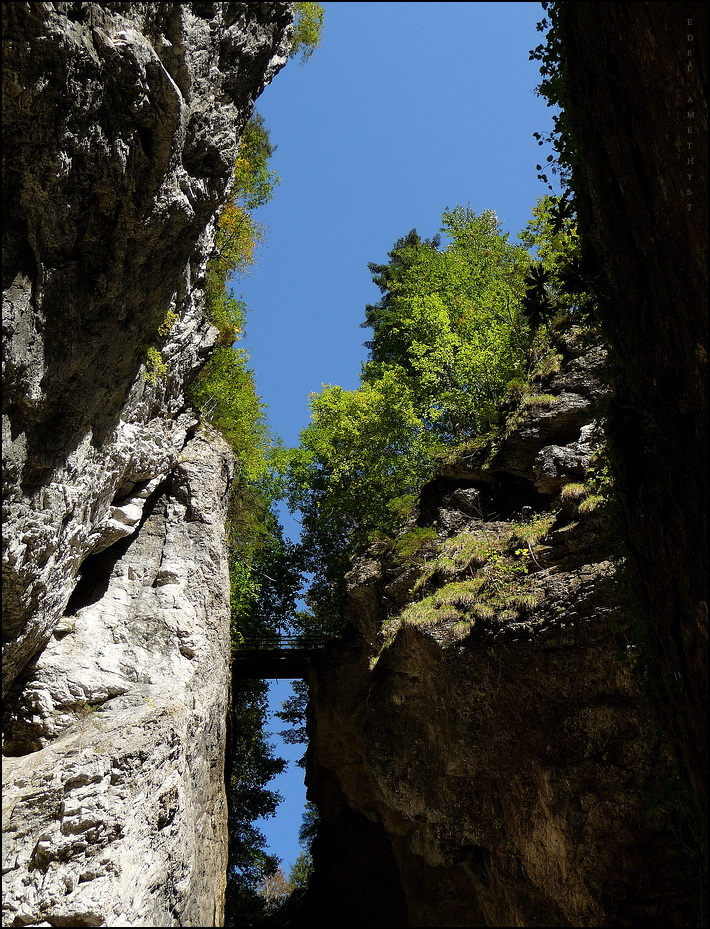 "Breitachklamm 20"