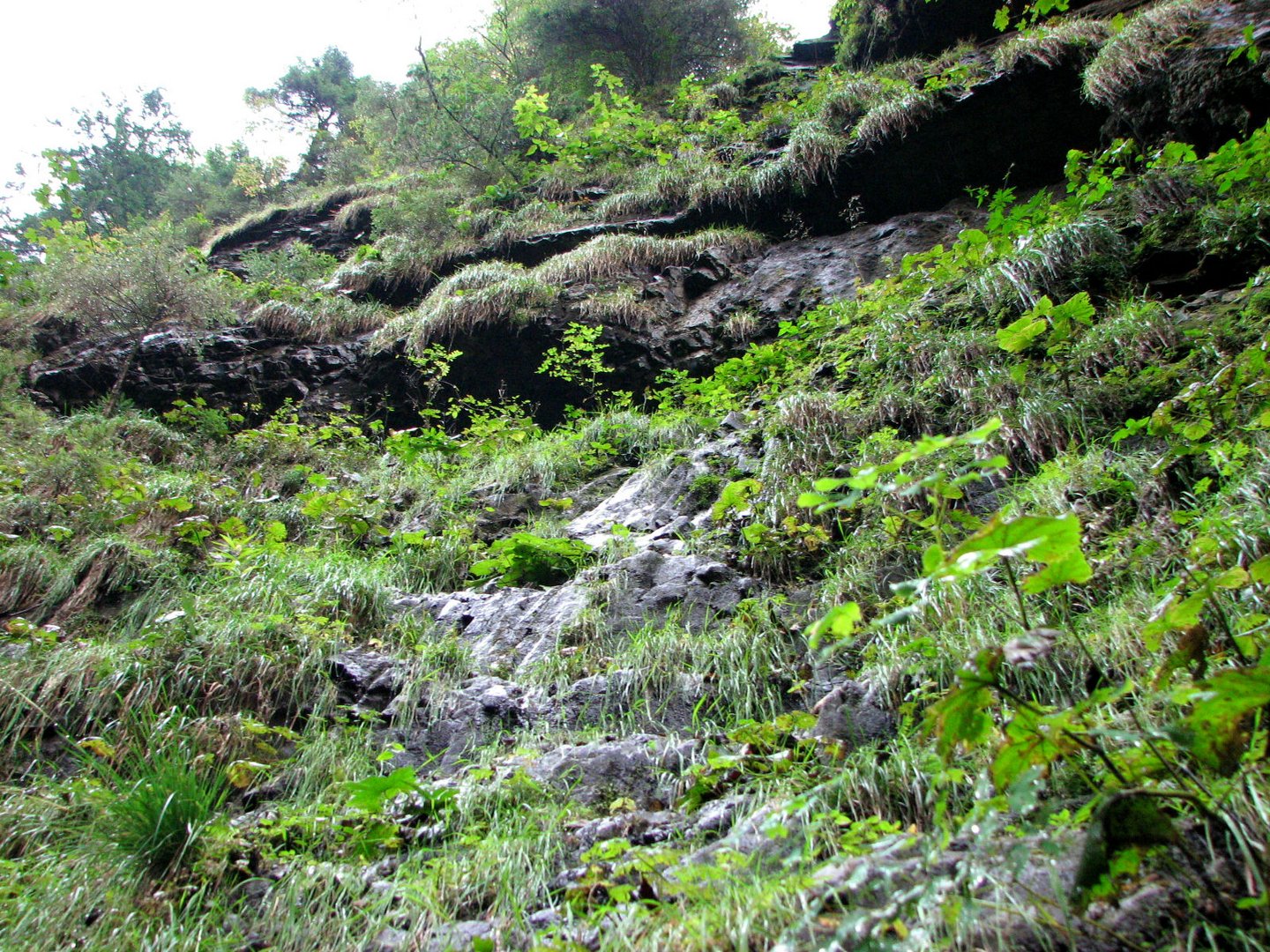 Breitachklamm bei Oberstdorf ...