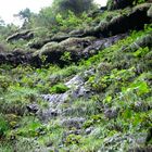 Breitachklamm bei Oberstdorf ...