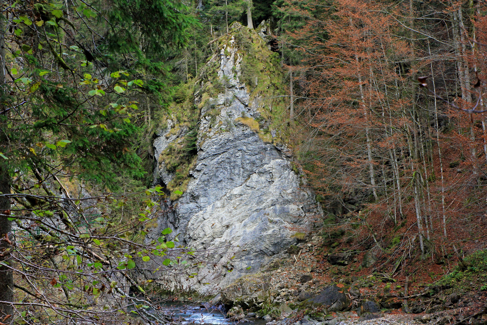 Breitachklamm bei Oberstdorf 19