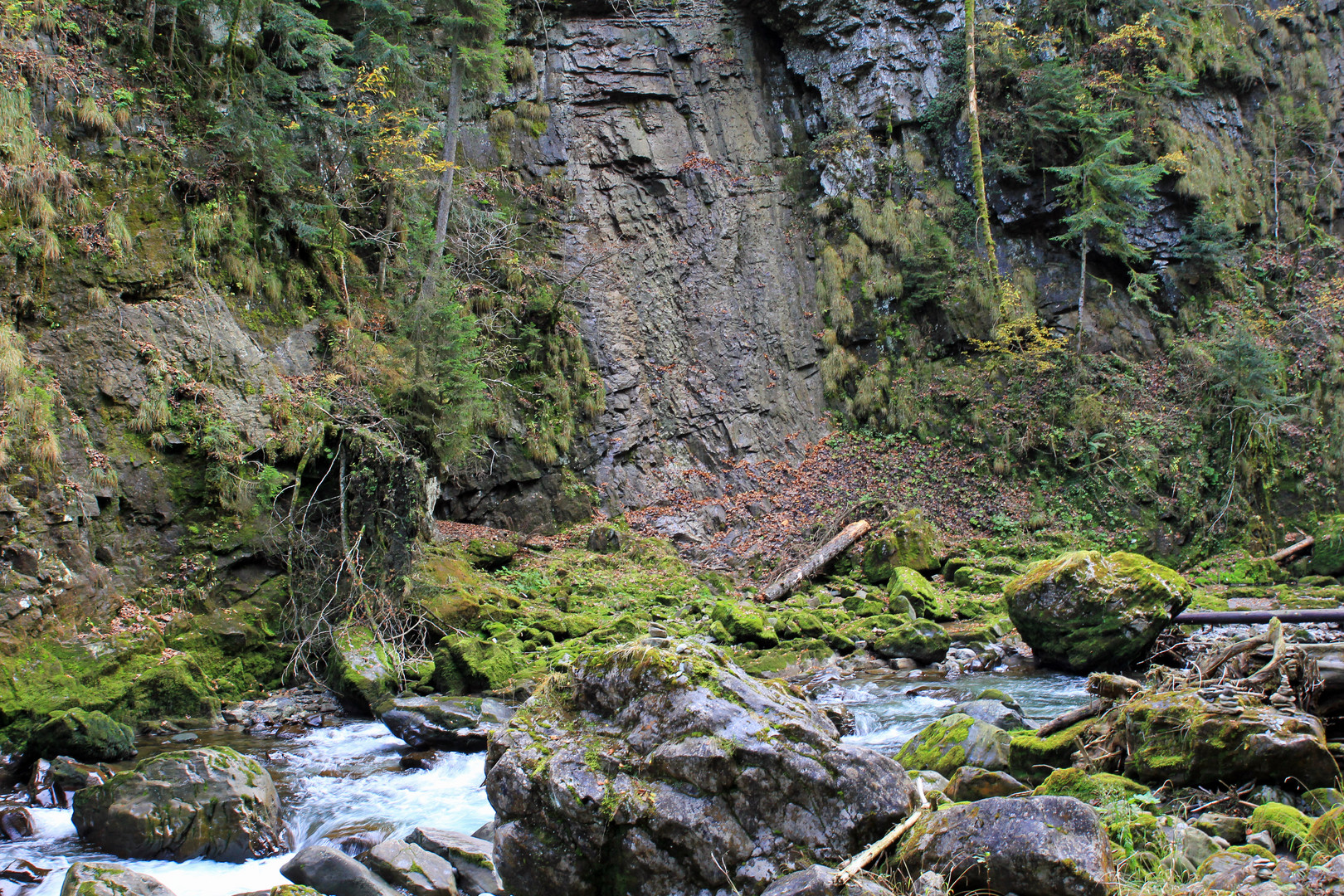 Breitachklamm bei Oberstdorf 21	