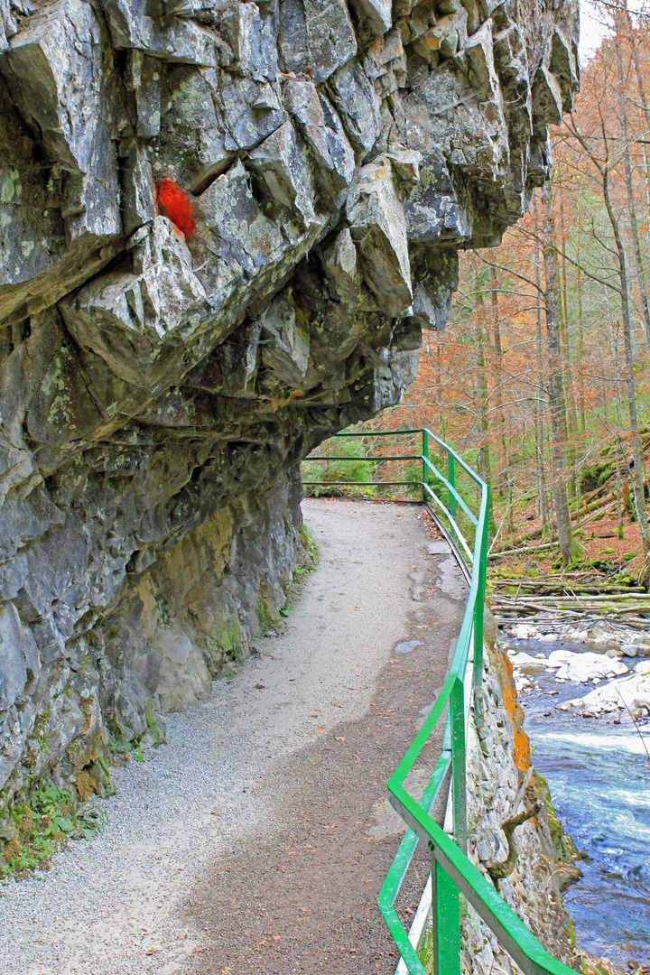 Breitachklamm bei Oberstdorf 22