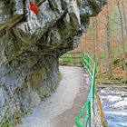 Breitachklamm bei Oberstdorf 22