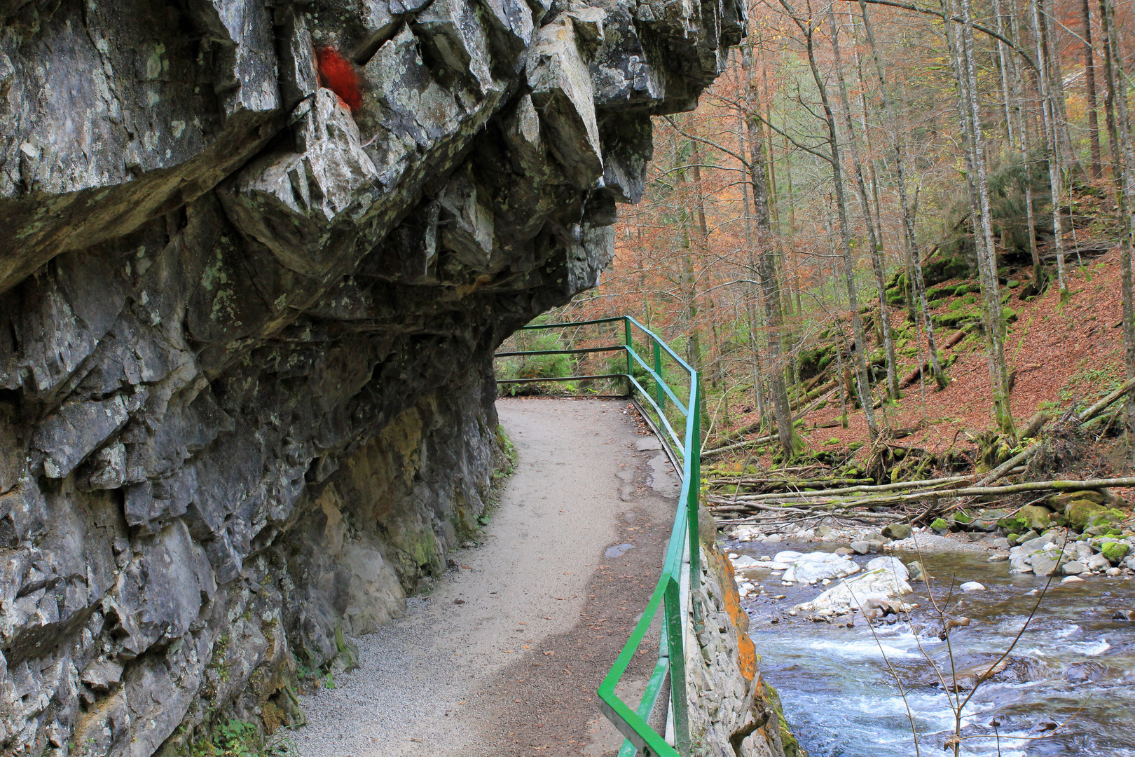 Breitachklamm bei Oberstdorf 24	