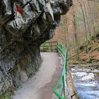 Breitachklamm bei Oberstdorf 24	