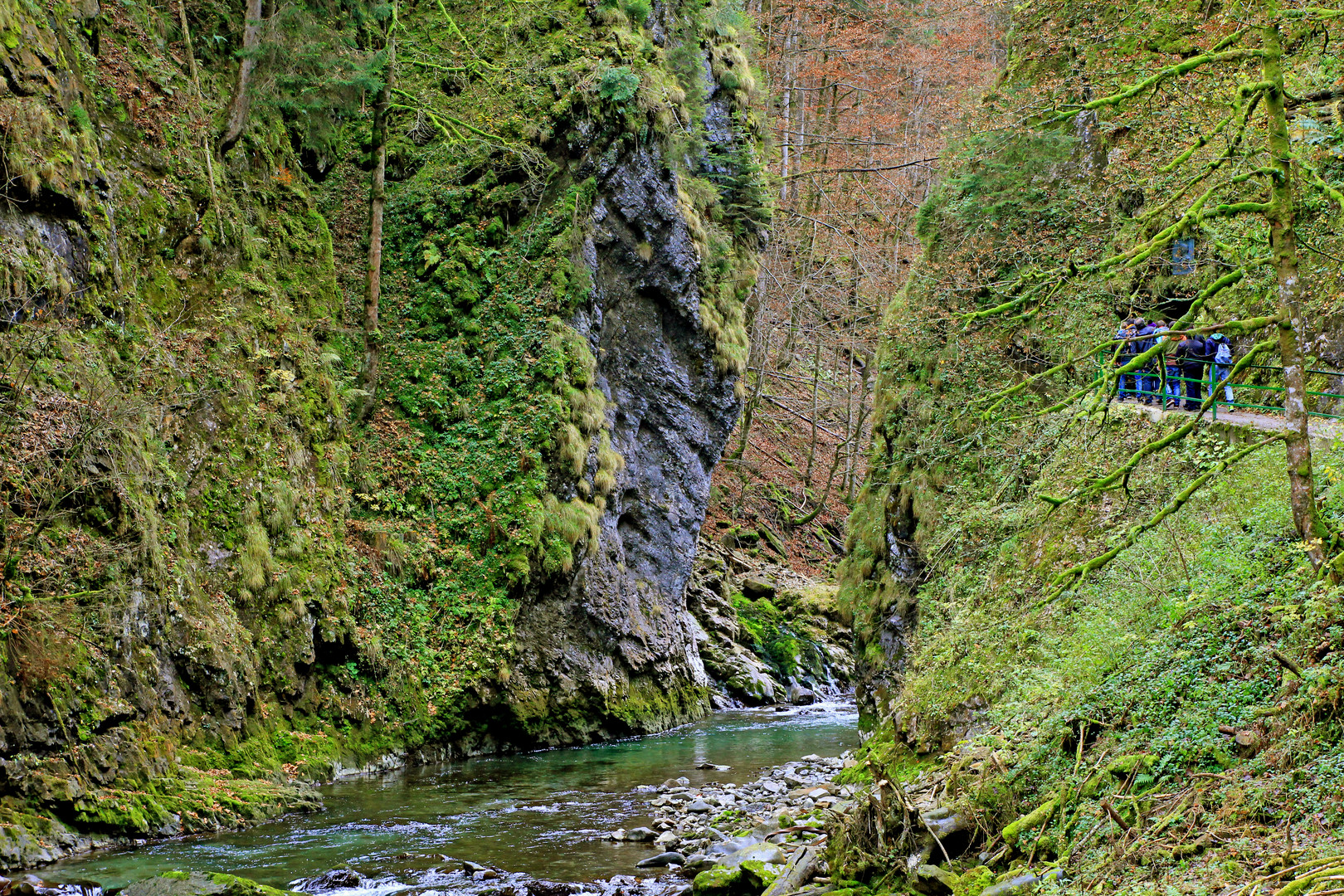 Breitachklamm bei Oberstdorf 8