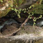 Breitachklamm