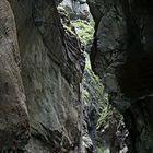 Breitachklamm hoch