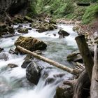 Breitachklamm I