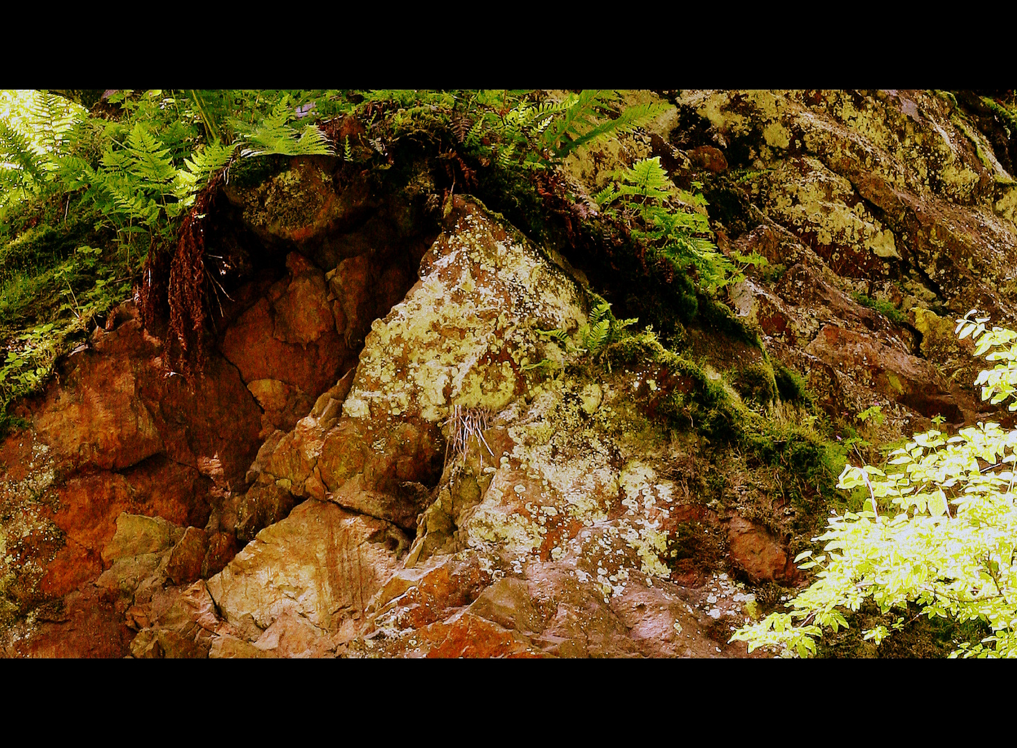 Breitachklamm (Obersdorf)