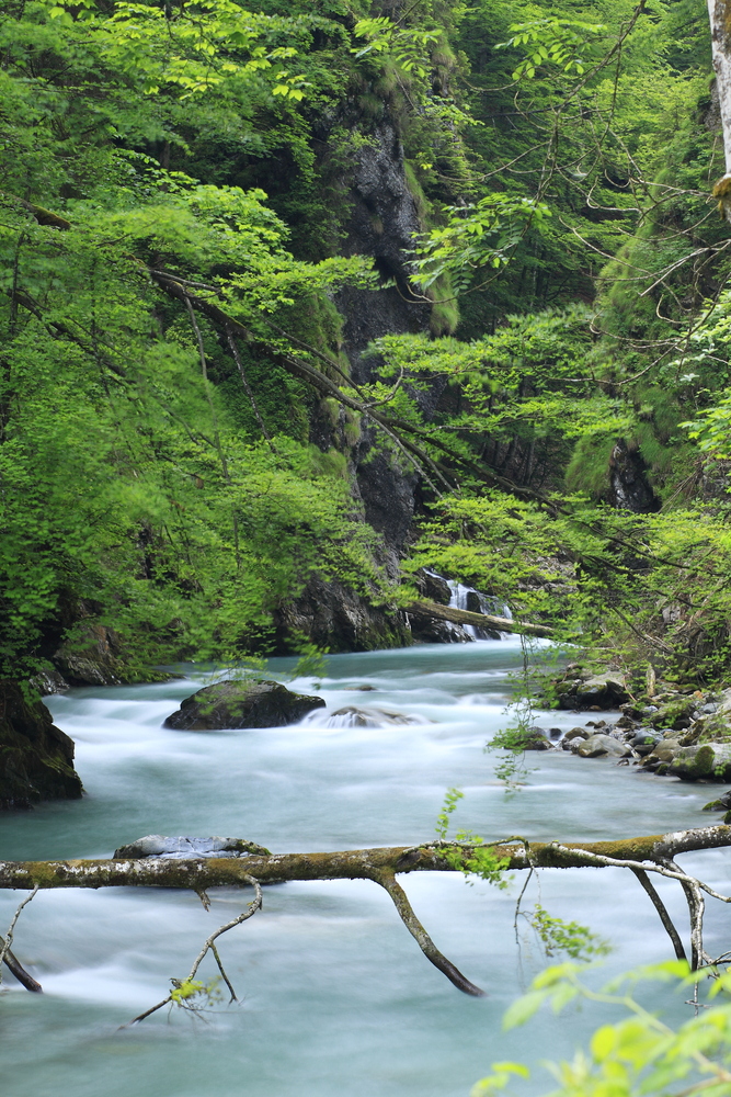 Breitachklamm -unterer Abschnitt-