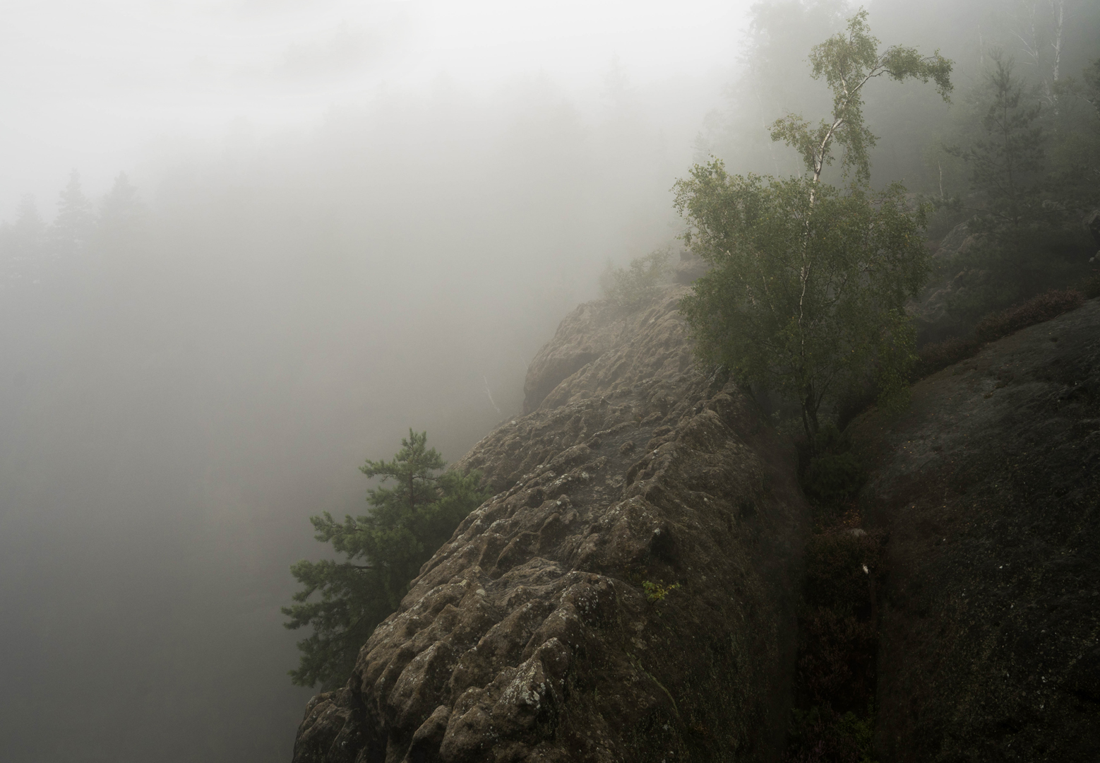 Breite Kluft im Nebel