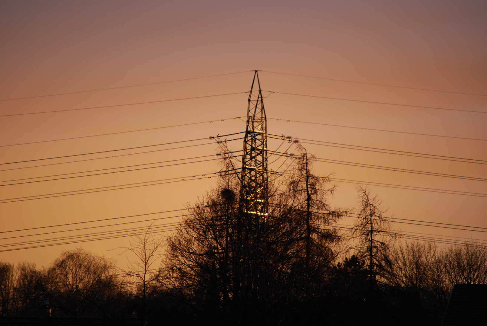 Breite-Nürensdorf, Symmetrie von Natur und Technik