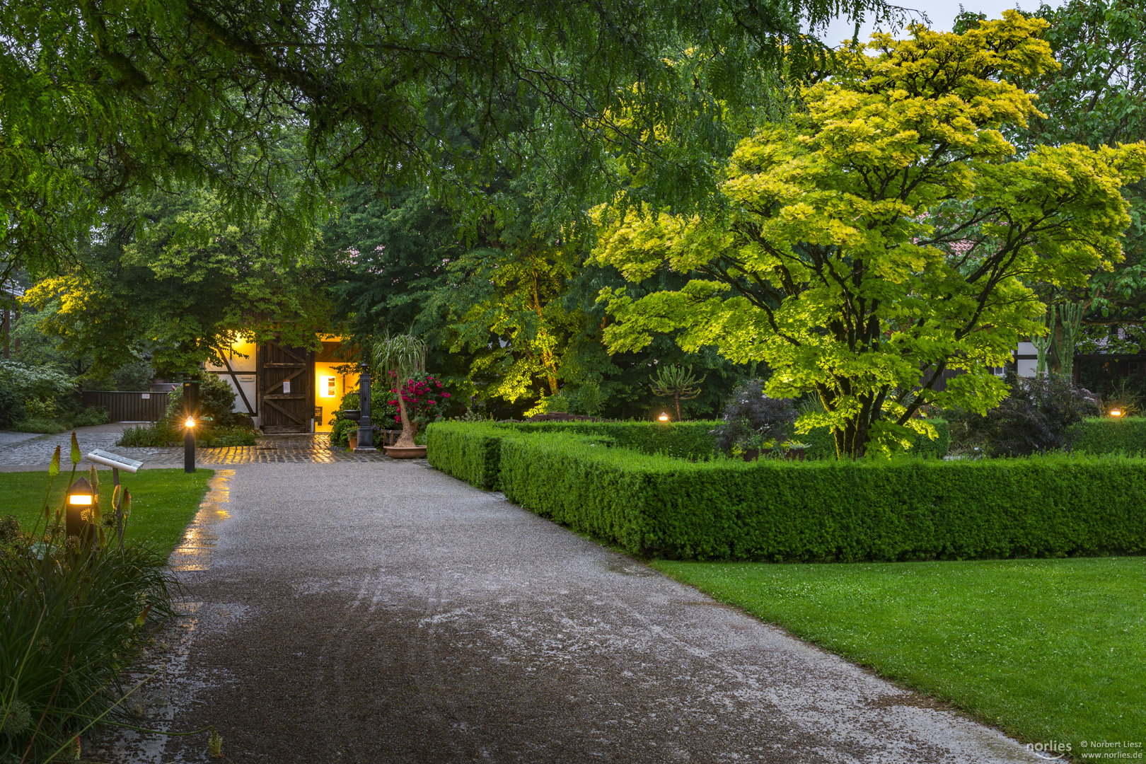Breite Wege im Botanischen Garten Foto & Bild