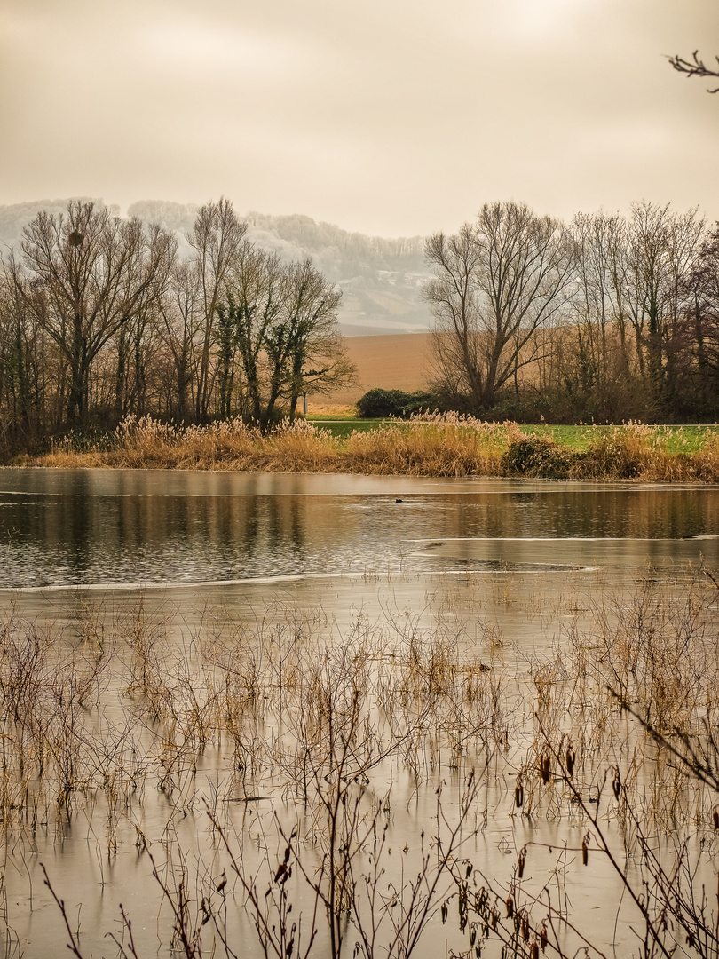 Breitenauer See
