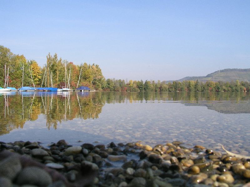 Breitenauer See im Herbst