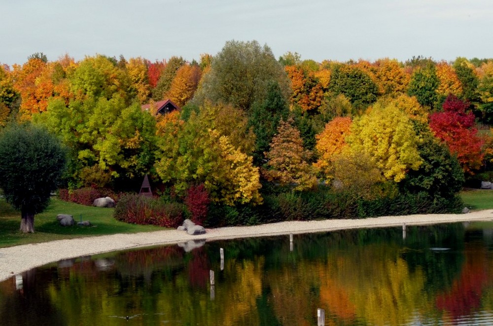 Breitenauer See im Herbstkleid zweiter Versuch