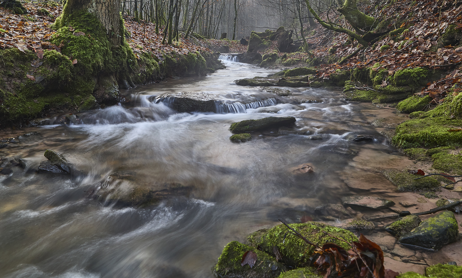 Breitenbach (1) Foto & Bild wald, outdoor, natur Bilder auf