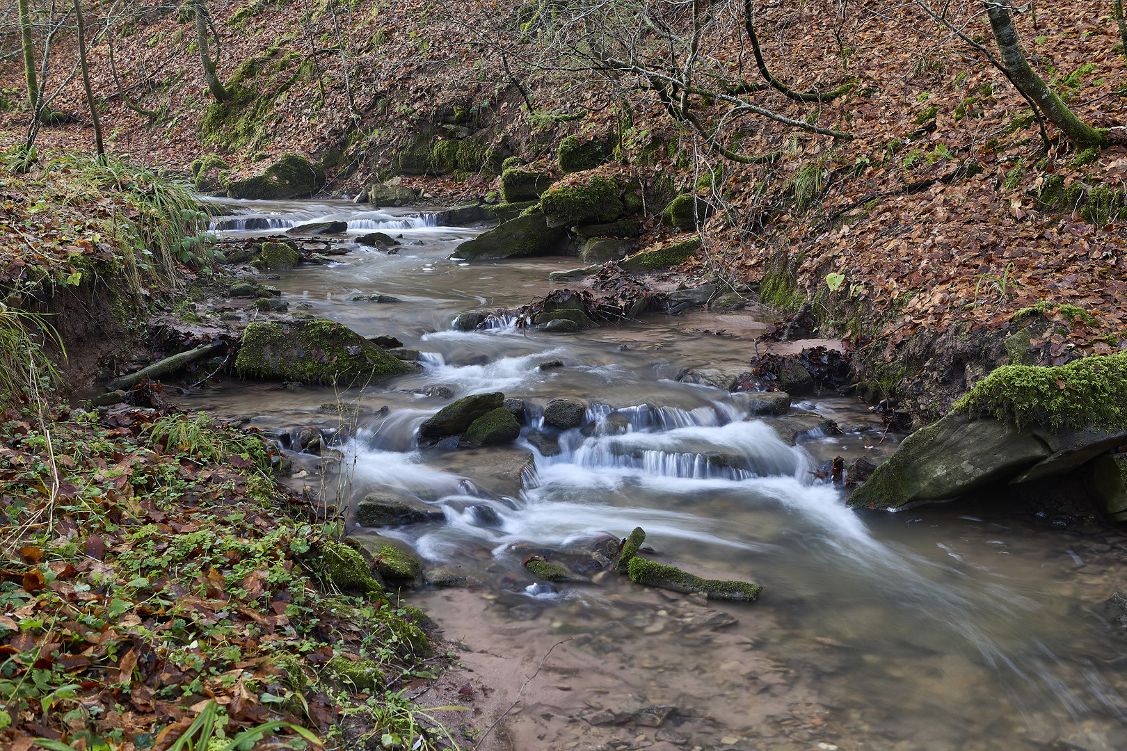 Breitenbach (2) Foto & Bild wald, outdoor, natur Bilder auf