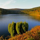 Breitenbachtalsperre im Abendlicht