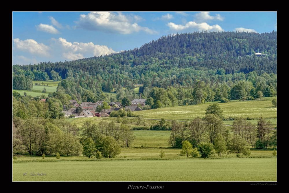 Breitenbrunn im Frühling