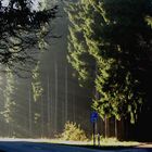 Breitenbrunner Lichtspiele