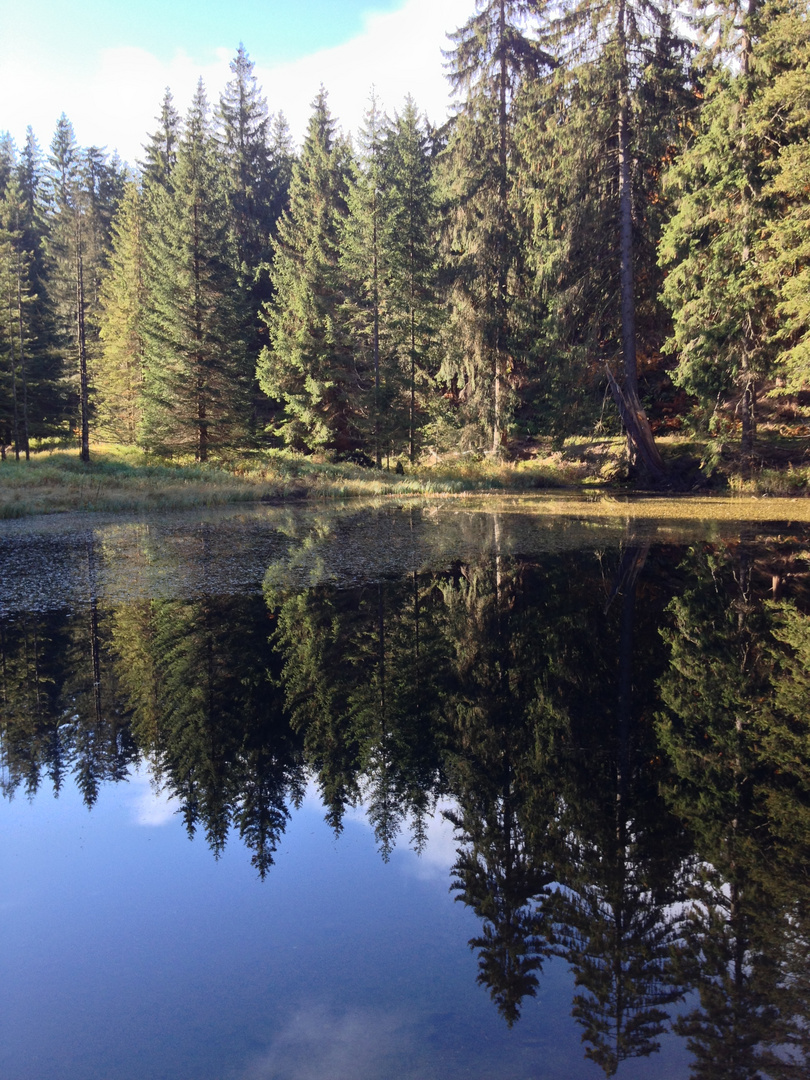 Breitengrunder Teich ¿