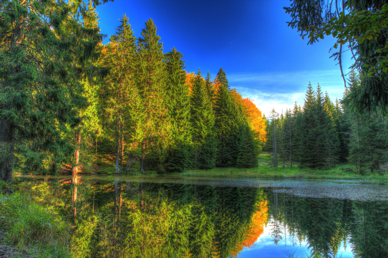 Breitengrunder Teich in Stützerbach (Thüringen)