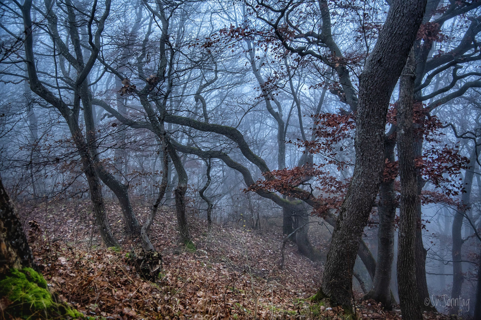 Breitenstein im Nebel I