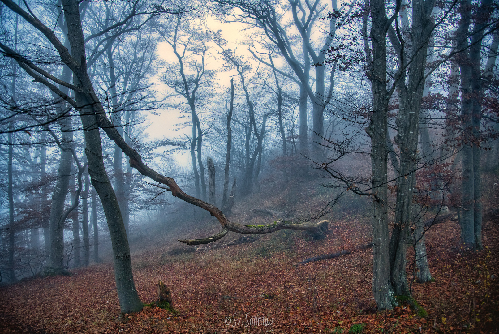 Breitenstein im Nebel II