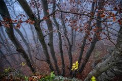 Breitenstein im Nebel III