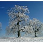 Breitenstein im Winter