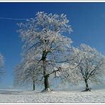 Breitenstein im Winter