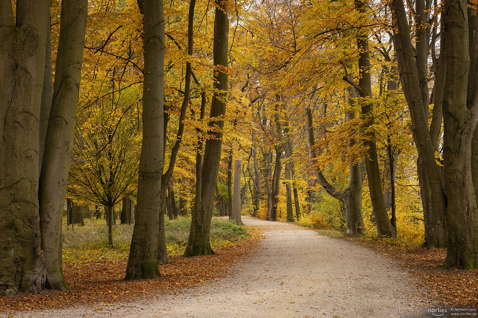 Breiter Herbstweg