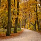 Breiter Herbstweg