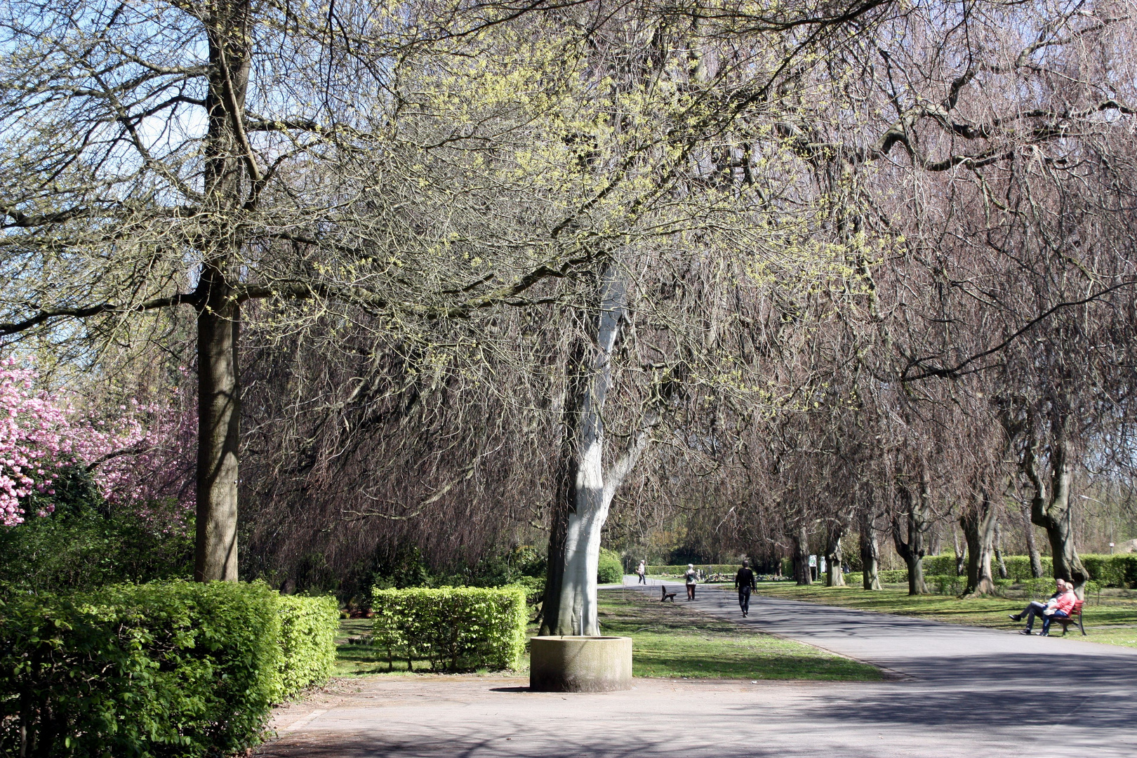 breiter Weg auf dem Friedhof