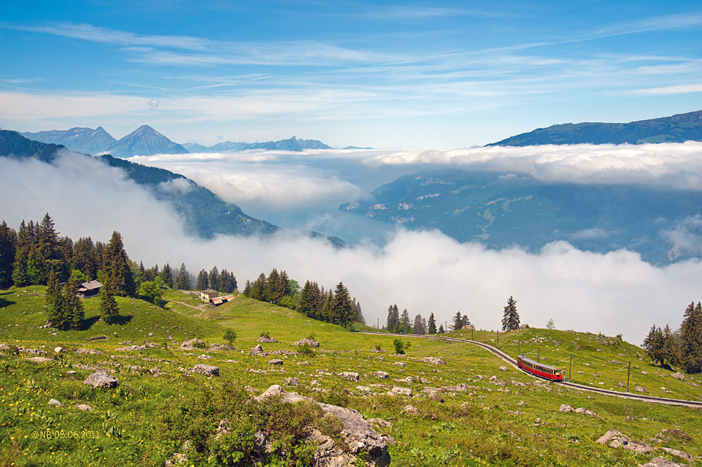 Breitlauenen