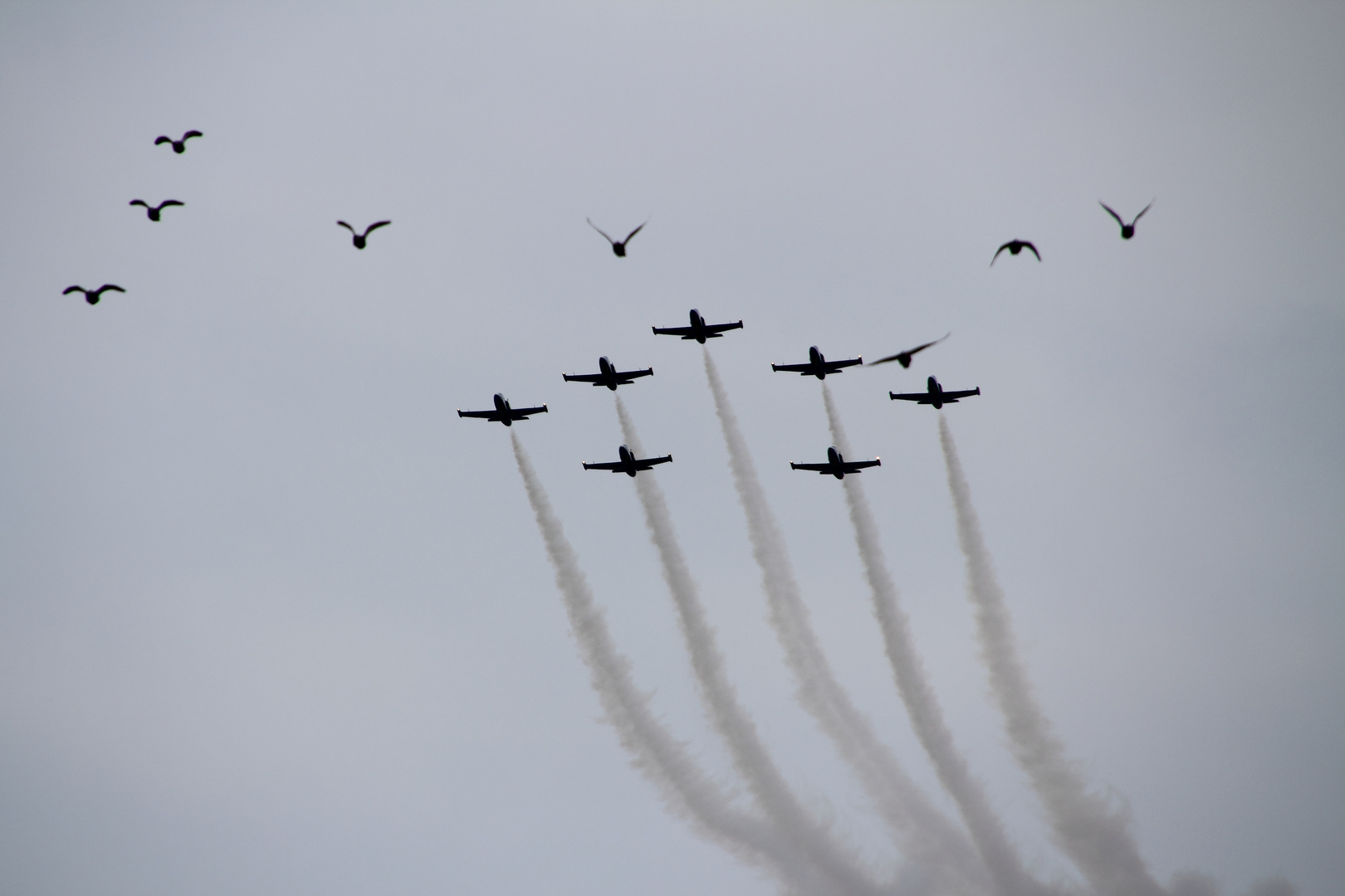 Breitling Jet Team