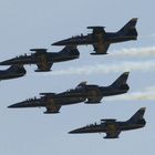 Breitling Jet Team