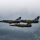 *BREITLING JET TEAM*