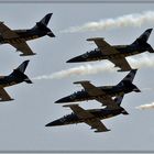 BREITLING JET TEAM