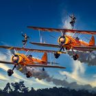 Breitling-Team Wingwalker in Dittingen