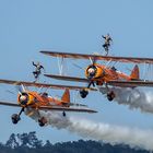 Breitling Wingwalker Dittingen 15