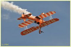 Breitling Wingwalker - Up Side Down @ Duxford 2010