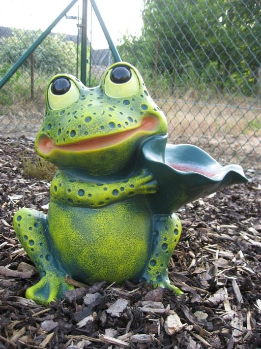 Breitmaulfrosch