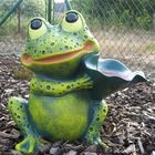 Breitmaulfrosch